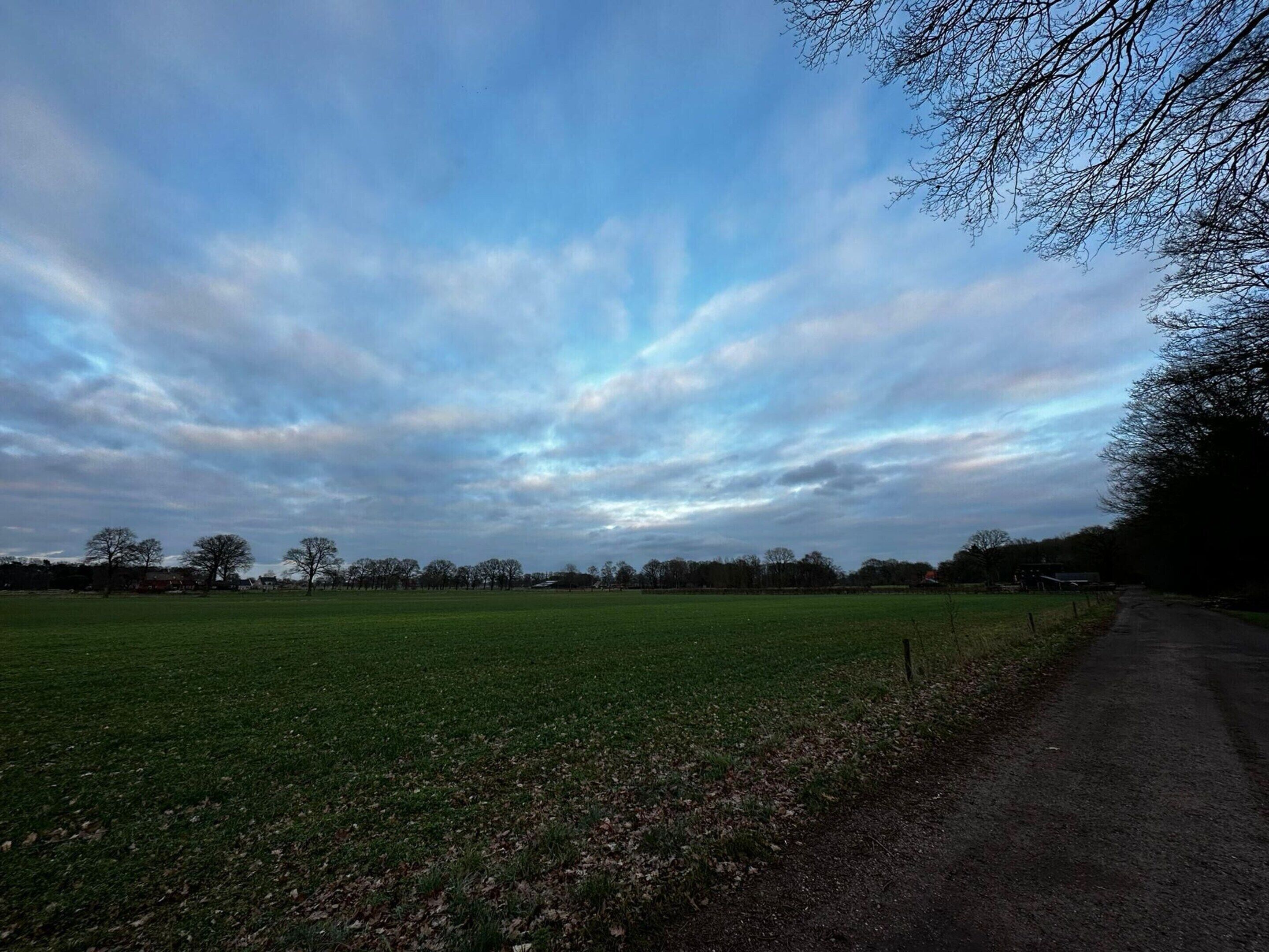A rural landscape with a dirt road and open fields under a cloudy sky.
