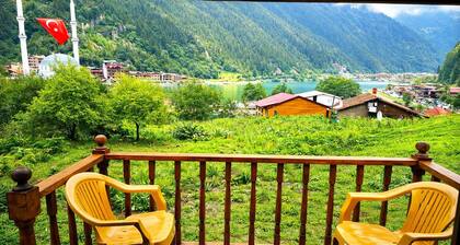 Uzungol Cerrahpasa Suites