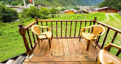Uzungol Cerrahpasa Suites