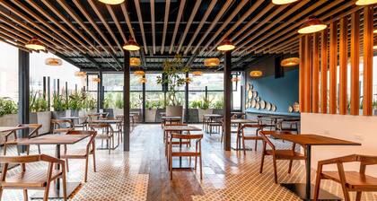 Liv Zona G By Sarasti