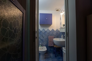 Shower, hair dryer, bidet, towels