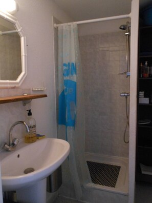 Bathroom features a sink, mirror, shower area with handheld showerhead and drain, and storage for toiletries.