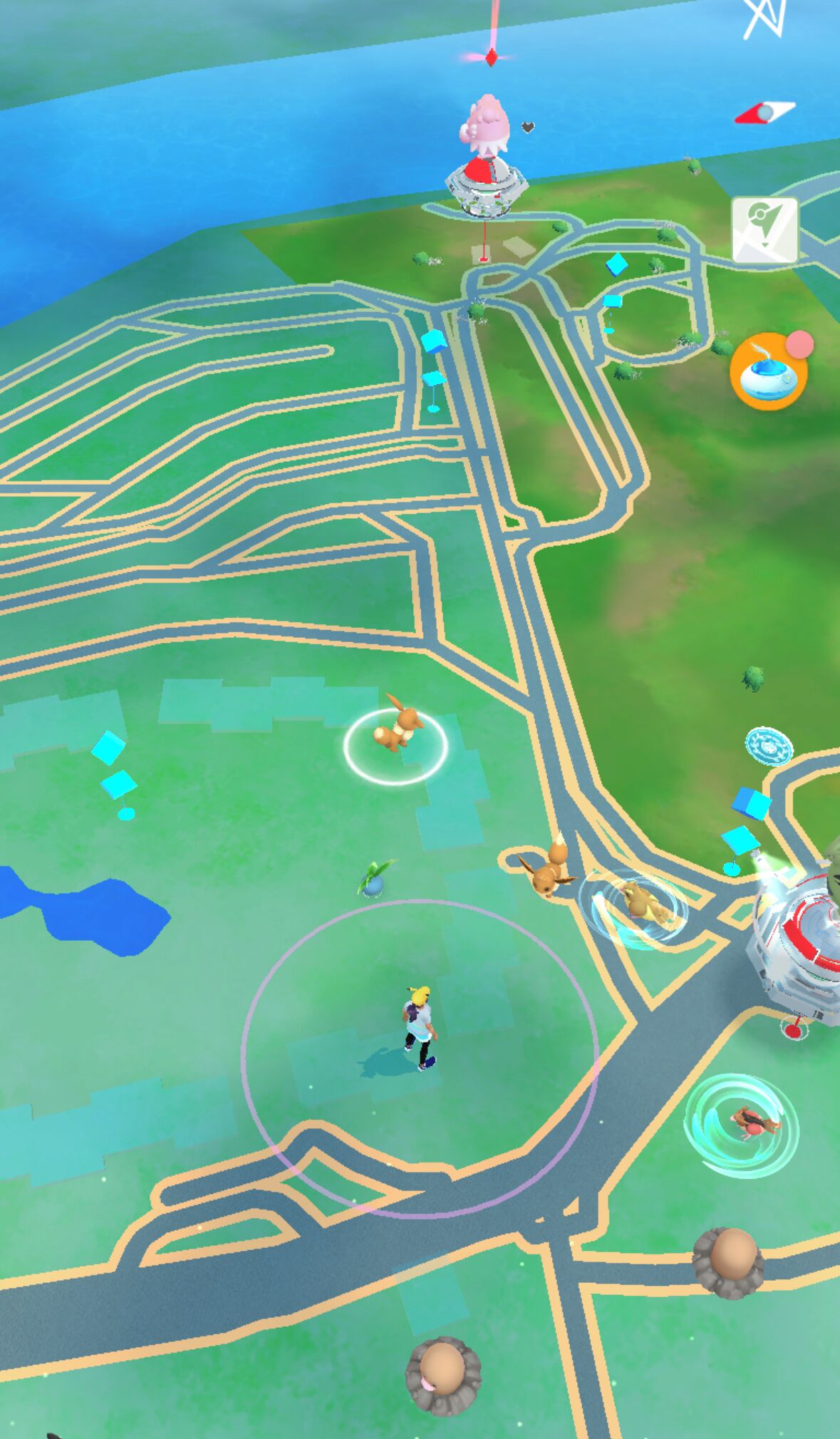 Een kaart van een park met paden, een vijver en een standbeeld.