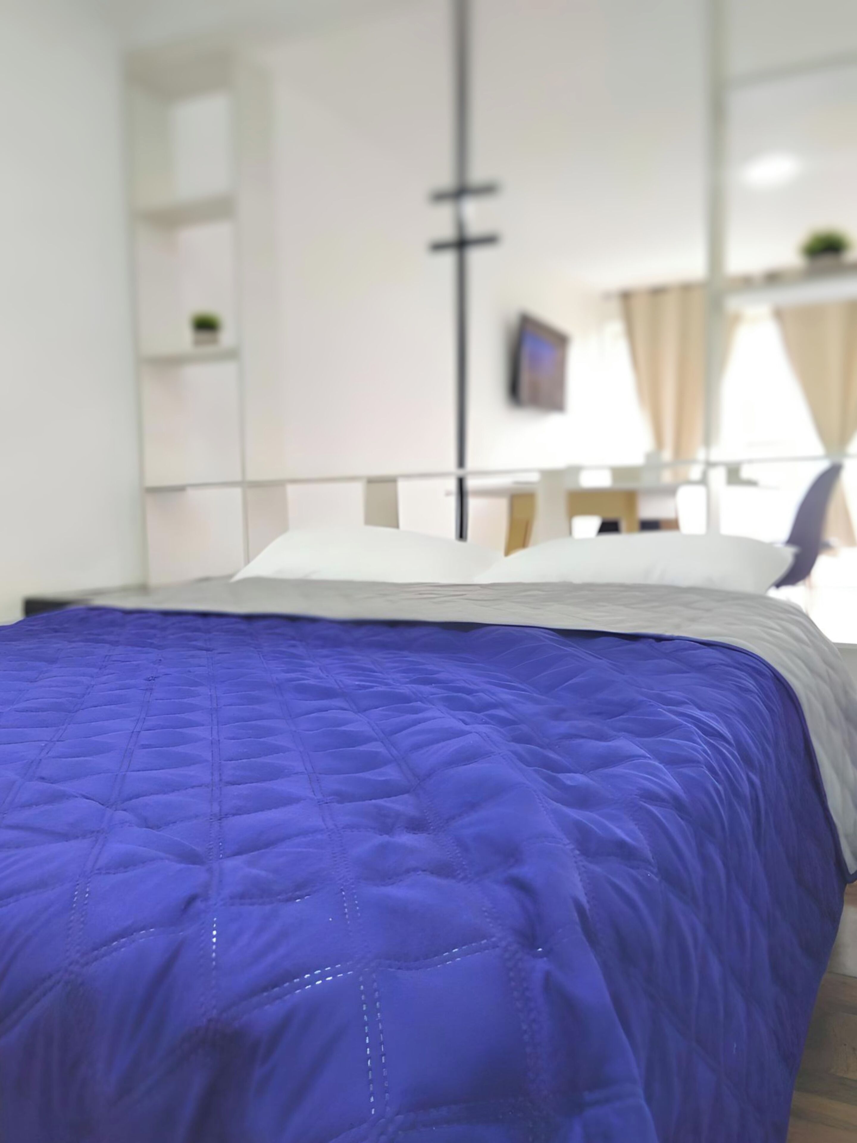 Fabulous Suite in Zona Rosa near American Embassy