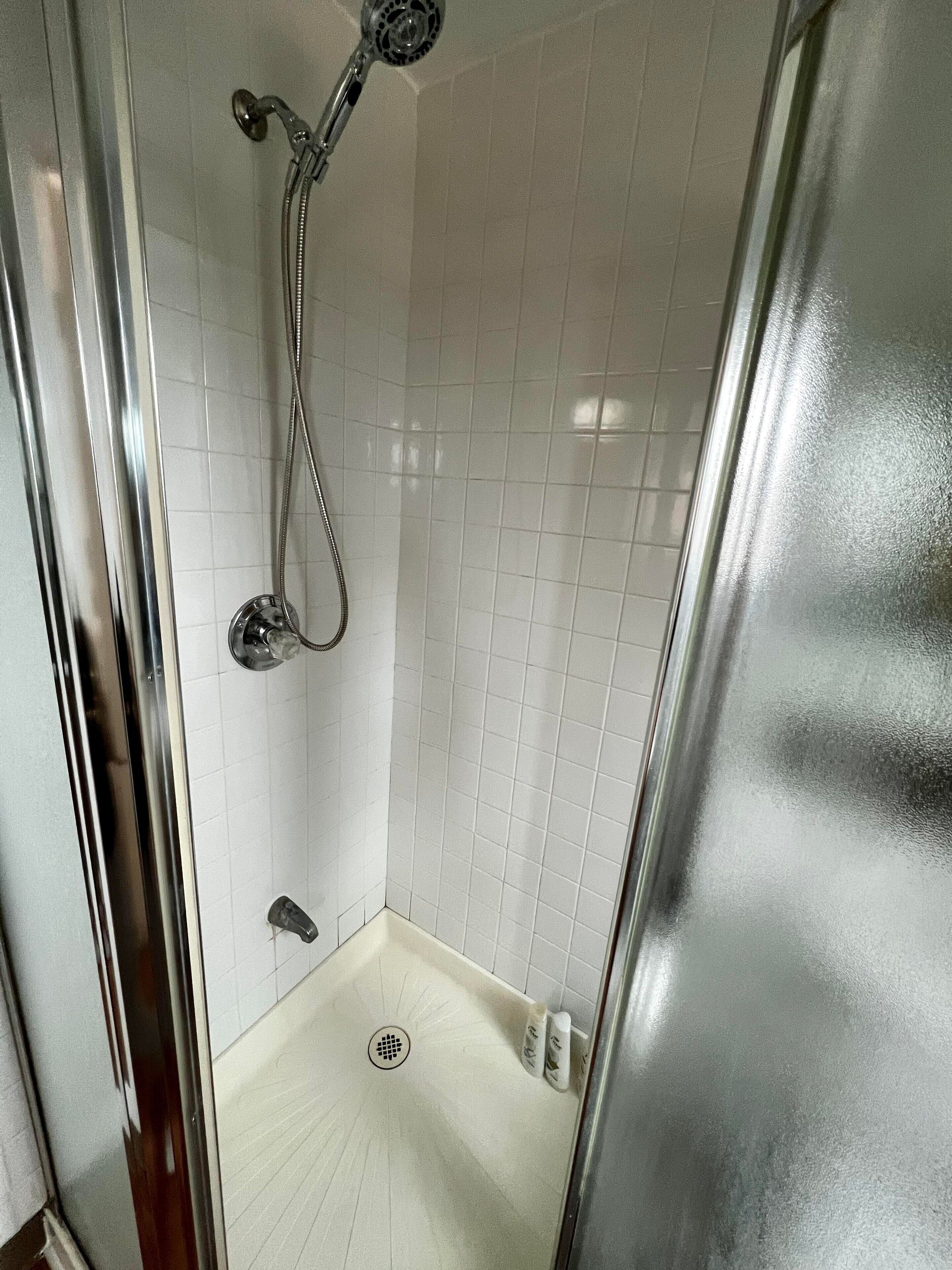 Little Indian nest #1