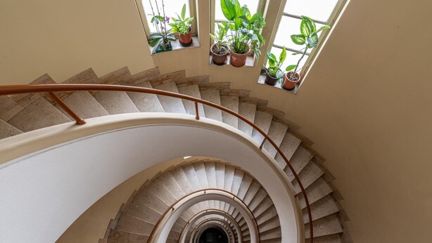 Un escalier en colimaçon doté d’une rampe, menant à un palier agrémenté de plantes en pot.