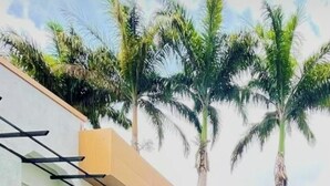 Fachada del alojamiento