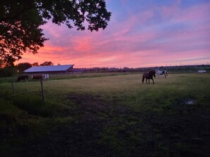 Uklassifisert bilde, 4 av 35, knapp
