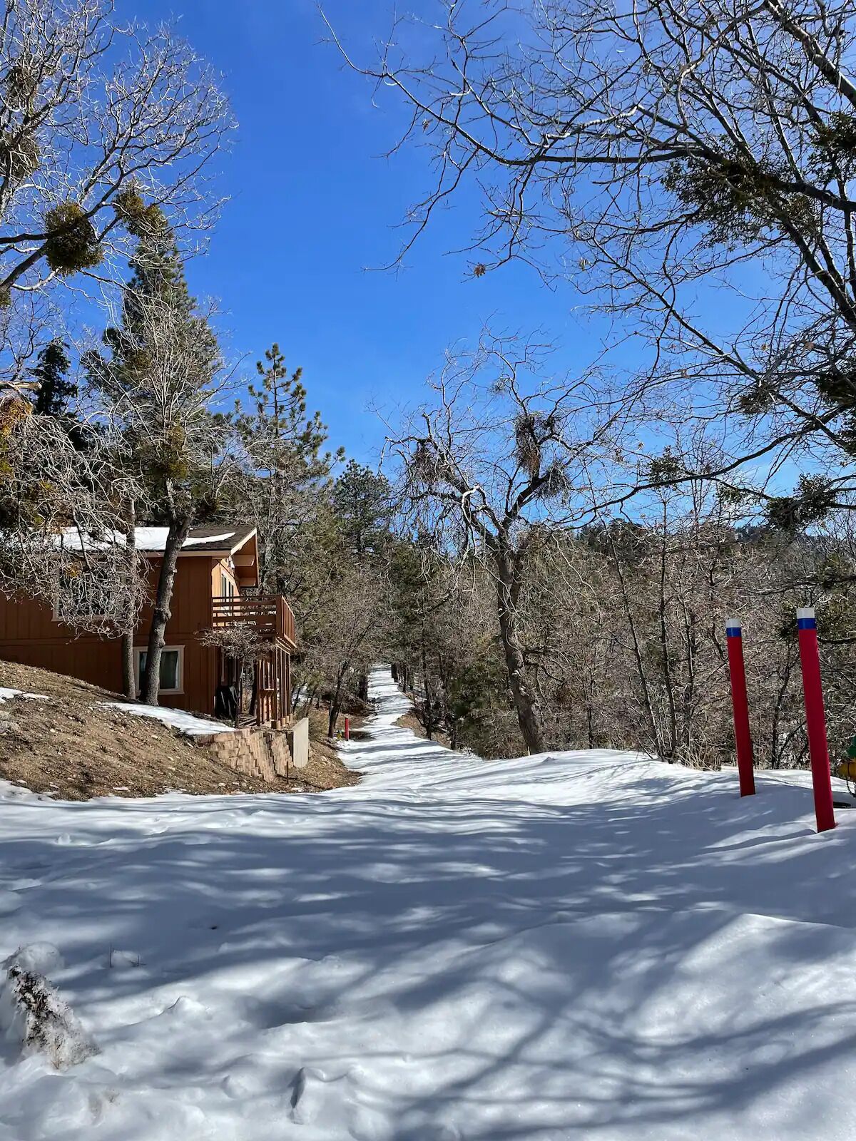 A snow-covered path leading to a wooden cabin with a balcony, surrounded by leafless trees.