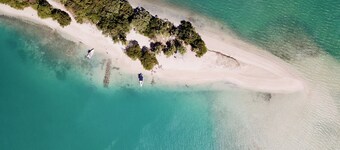 The Nest Villa: Luxury & Value for your family!