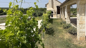 A stone building with a stone chimney, a paved pathway, and a grassy area with grapevines. - Runaway Cottage Villa (Unesic)