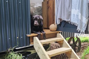 Property grounds - Shepherd's Hut - Sleeps 2 - Pet friendly - Parking (Bodmin)