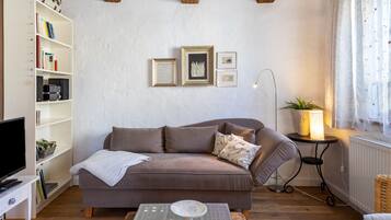 TV, fireplace, stereo