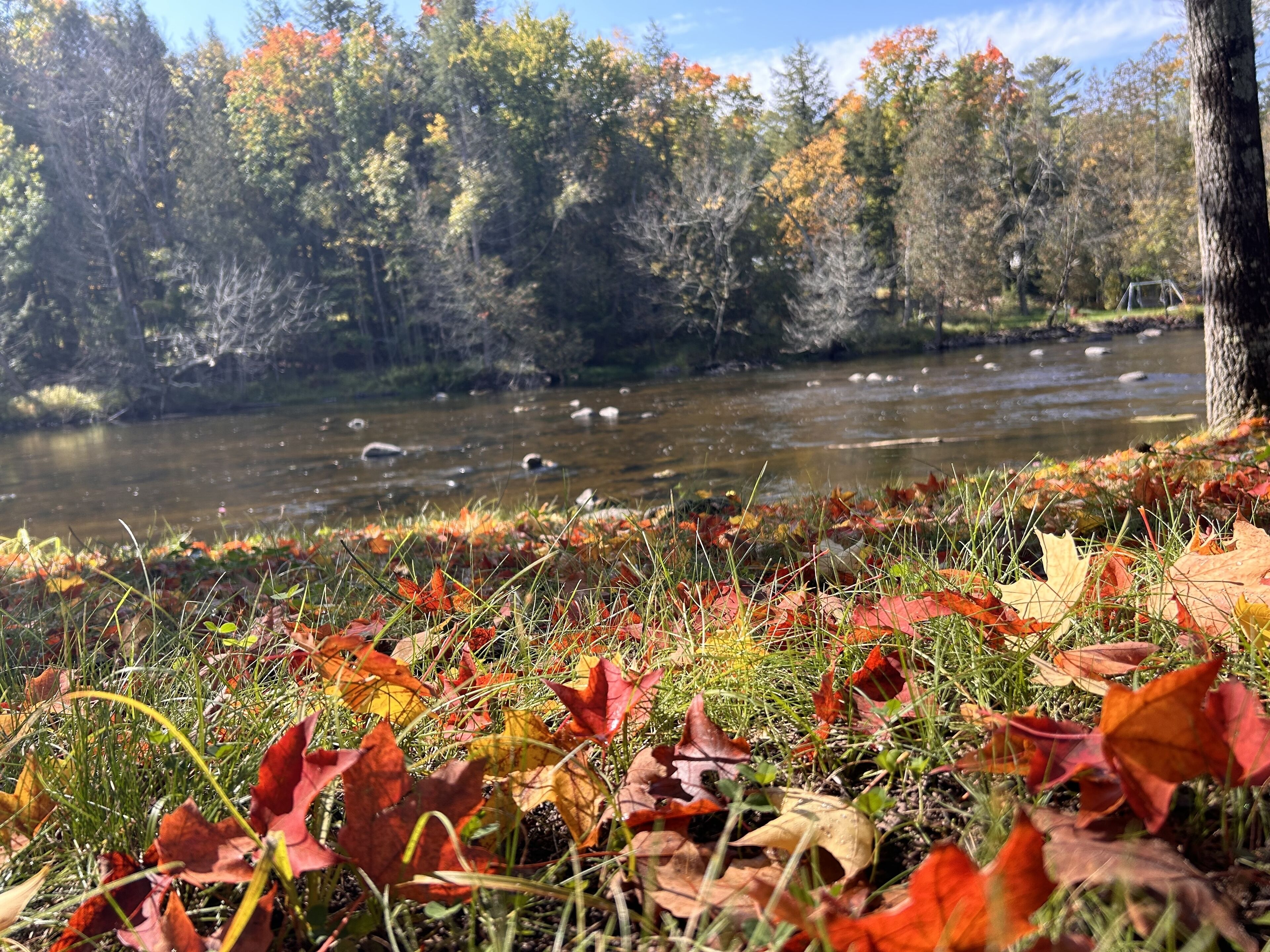The Rivers Edge Cottage! ATV-UTV-Snowmobiling right out your front door!