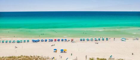 بالقرب من الشاطئ