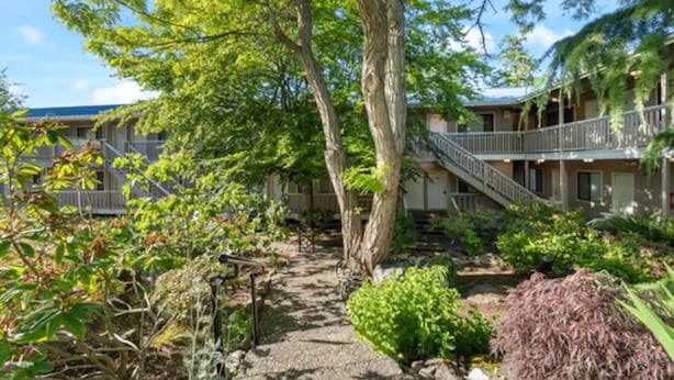 A courtyard with a central tree, surrounded by a building with a balcony and a staircase. - Comfortable Modern Condo near Downtown (Friday Harbor)