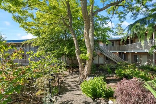 Comfortable Modern Condo near Downtown