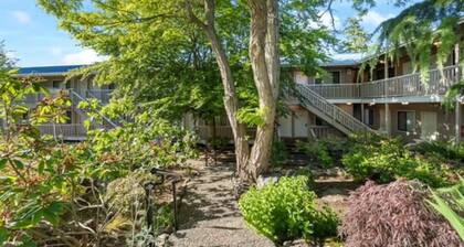 Comfortable Modern Condo near Downtown