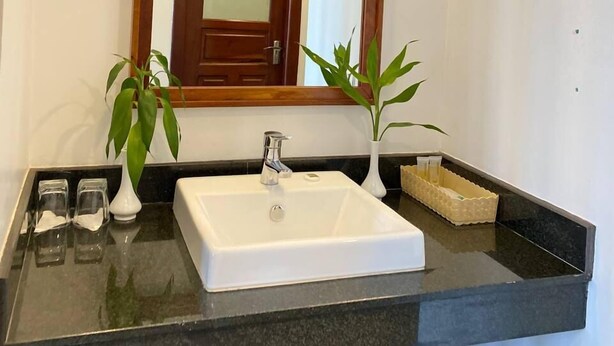 A bathroom with a white sink, two potted plants, a mirror, and a wooden door. - Ang Damnak Samrith Boutique Hotel (Siem Reap)