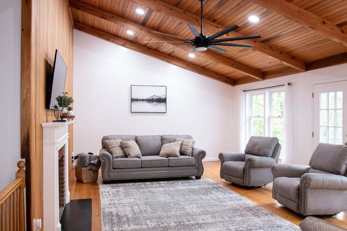 TV