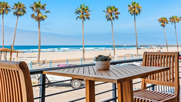 A wooden table with a potted plant, overlooking a beach with palm trees and a clear blue sky.