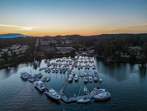 Boats docked at the marina, surrounded by a forest and residential buildings.