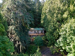 Escape to a secluded cabin surrounded by tall conifers and deciduous trees, offering a peaceful retreat with a spacious deck and dirt path access.