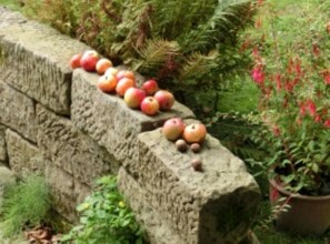 المنطقة المحيطة بالمنشأة