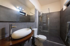 Shower, hair dryer, towels