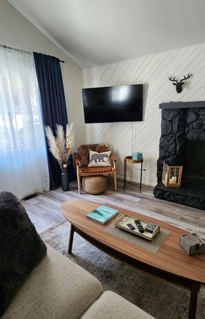 Smart TV, caminetto, lettore DVD, libri