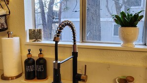 Une cuisine avec un évier noir, une fenêtre donnant sur des arbres et une plante en pot posée sur le rebord de la fenêtre.