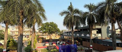 A courtyard with palm trees, a stage, and outdoor seating.