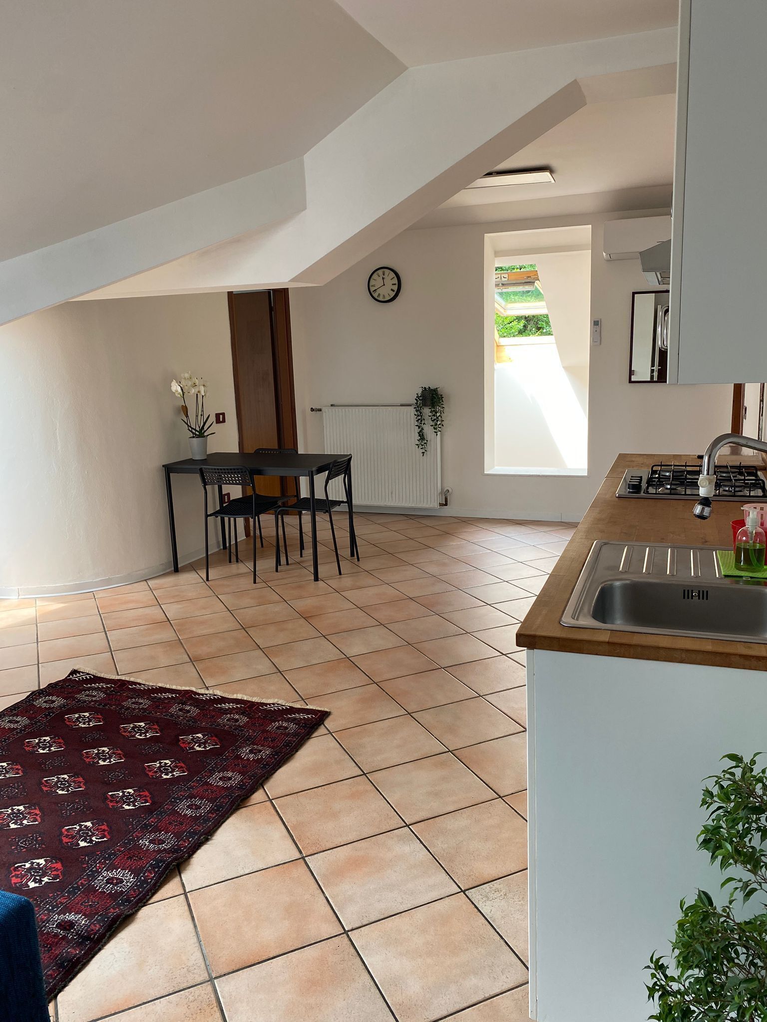 Fridge, oven, stovetop, toaster