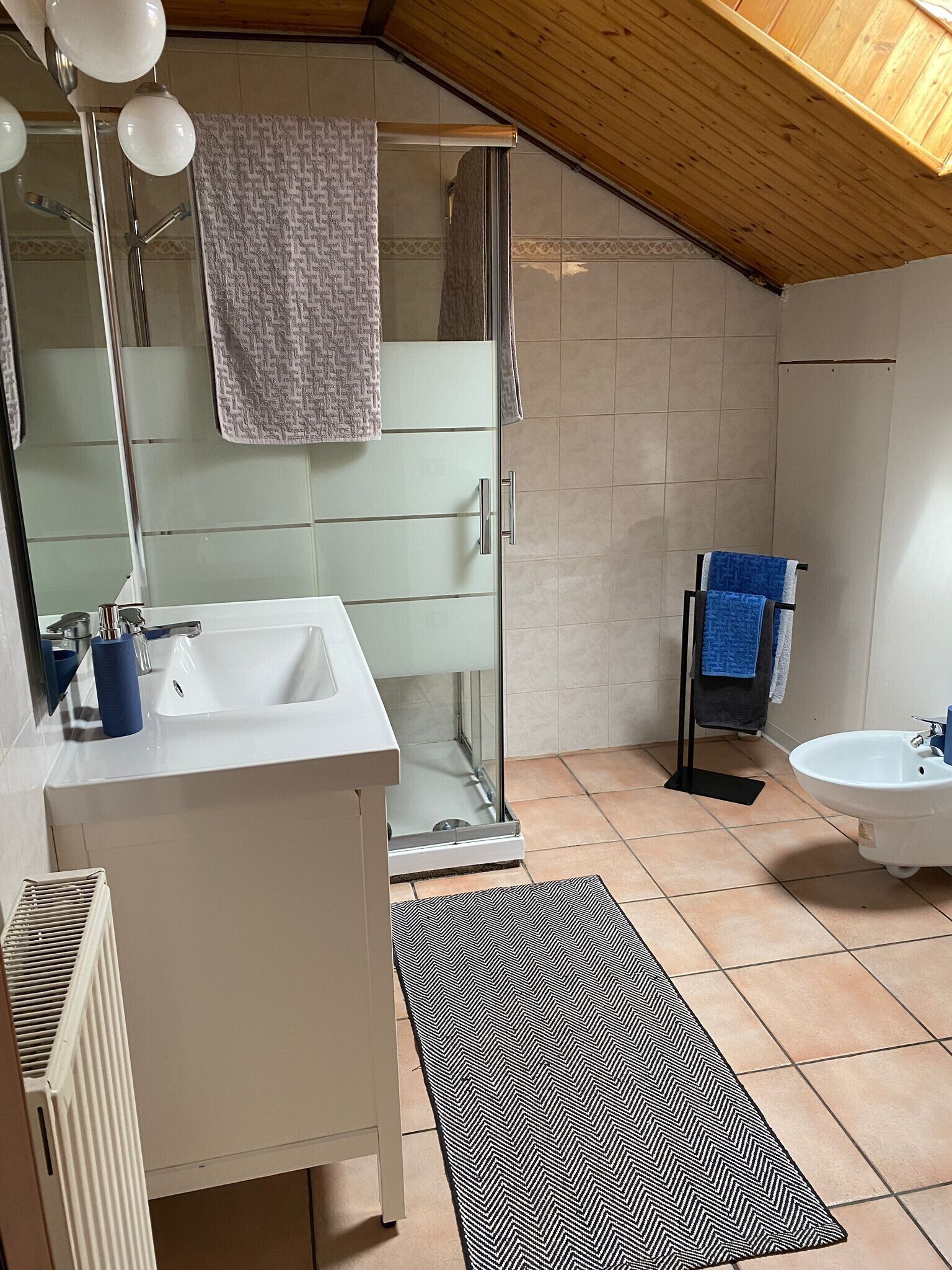 Dusche, Haartrockner, Handtücher