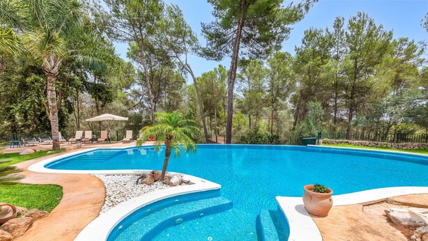 A swimming pool with a curved edge, surrounded by trees and a patio area with lounge chairs.