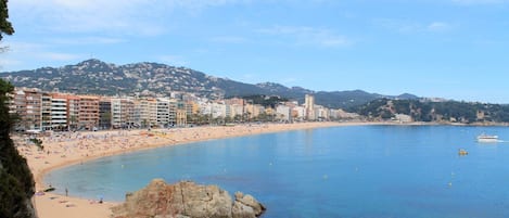 Playa en los alrededores