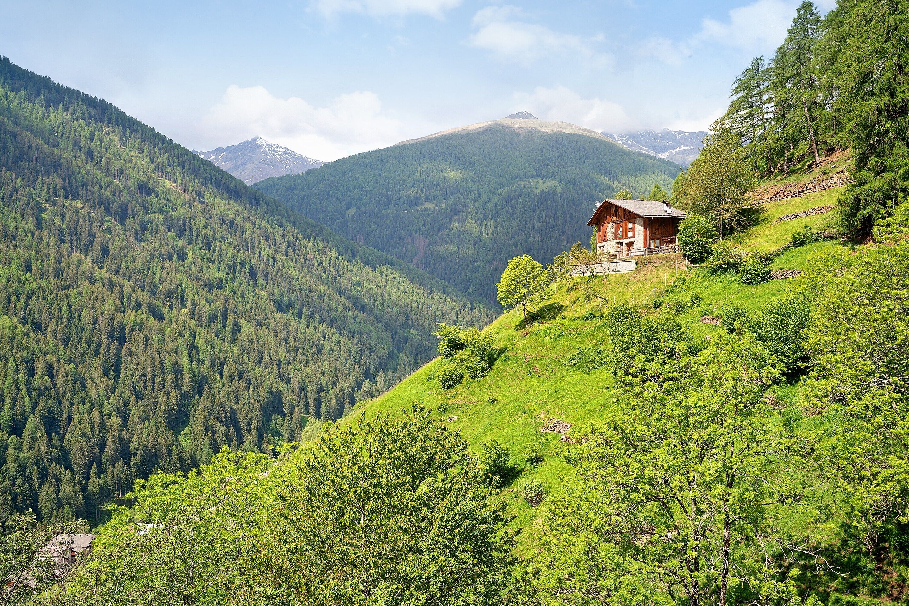 A wooden cabin on a hillside with a forested valley in the background.