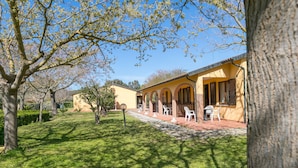A courtyard with a yellow building, white chairs, and a tree.