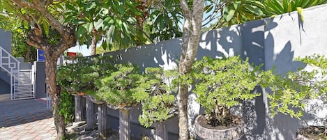 Jardin