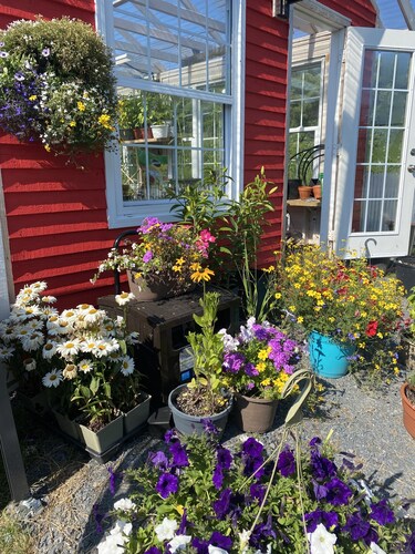 Millie's Bay Heaven - Historic Cottage on the Sea