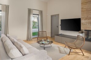 Télévision, cheminée, jeux vidéo