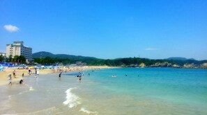 Beach - Superior Twin with Terrace vs New 36 No Sm / Toba Mie (Toba)