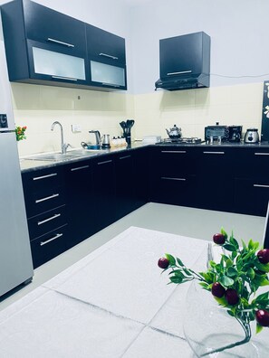 Fridge, microwave, oven, stovetop - Green space (T'bilisi)