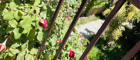 تفاصيل الفندق من الخارج