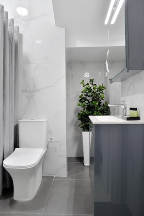 Features a sleek sink, contemporary toilet, and large mirror above the vanity.