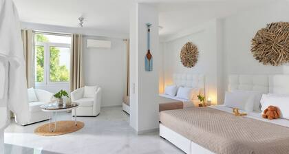 Alekos Luxury Suites Free 24h Transportation From - To Airport