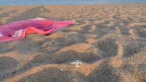A beach with a pink towel laid out on the sand. - Air-conditioned T3 apartment for 6 with terrace and parking in Port Leucate (Port Leucate)