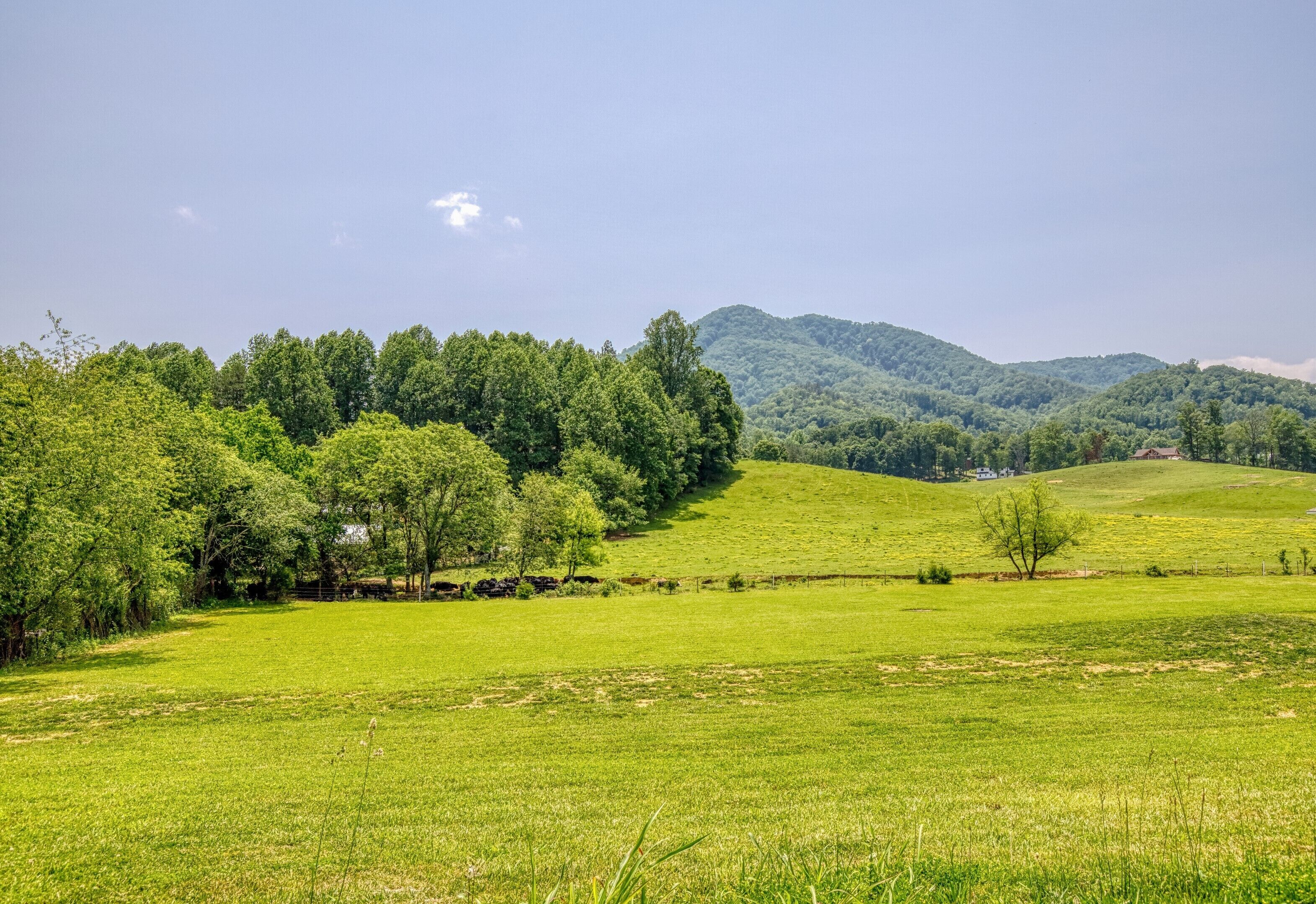 Little House in the Valley