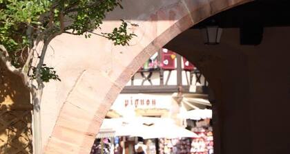 Appartement spacieux à Colmar avec terrasse, garage privatif, proche centre et gare