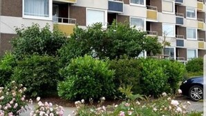 A multi-story residential building with balconies, surrounded by lush greenery and flowering plants. - Hanseat I Appartement. 82 (Grömitz)
